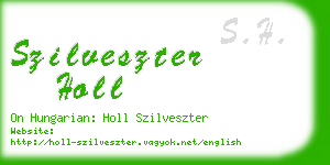 szilveszter holl business card